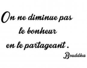 Homme sérieux, honnête, élégant et cultivé cherche LA femme.